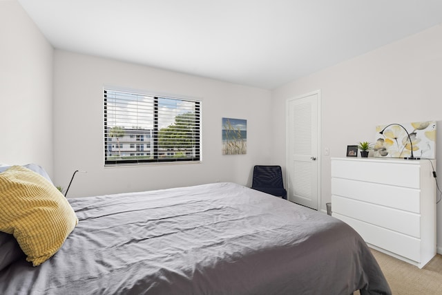 bedroom featuring carpet floors and a closet