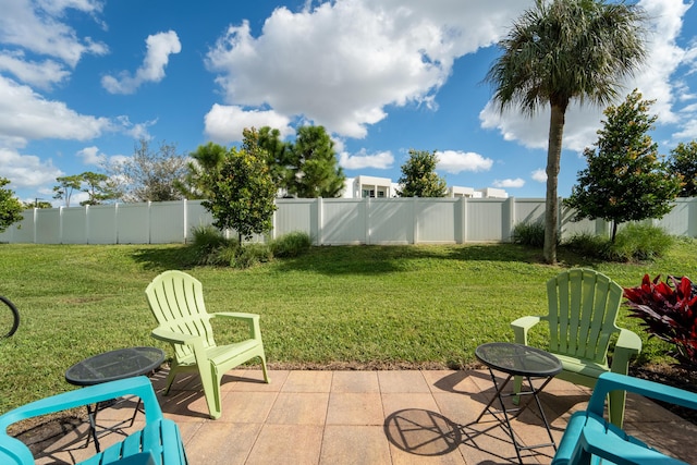 view of yard featuring a patio area