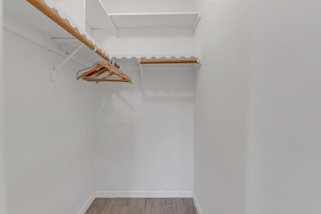 walk in closet featuring hardwood / wood-style flooring