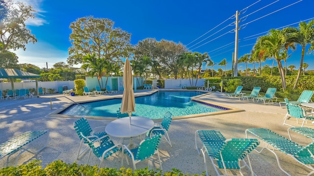 view of pool featuring a patio