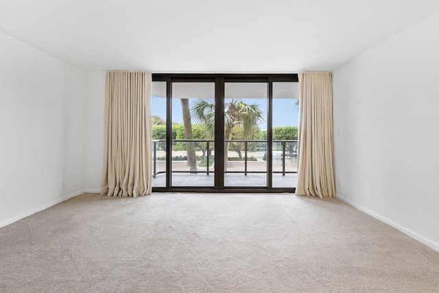 carpeted empty room with a wall of windows