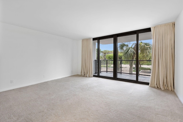 spare room featuring a wall of windows and carpet floors