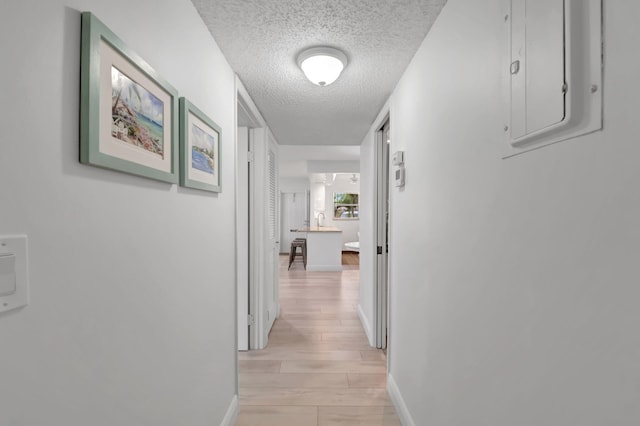 hall with electric panel, light hardwood / wood-style flooring, and a textured ceiling