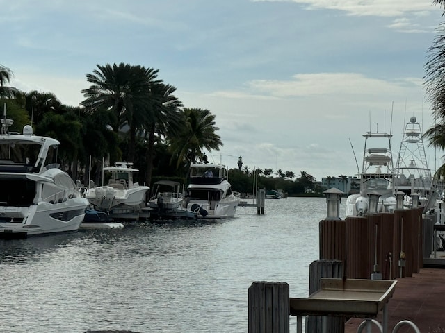 view of water feature featuring a dock