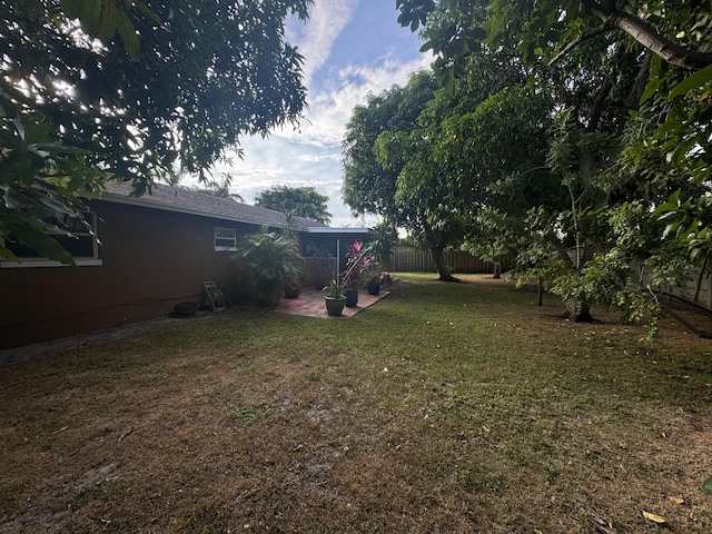 view of yard featuring a patio area