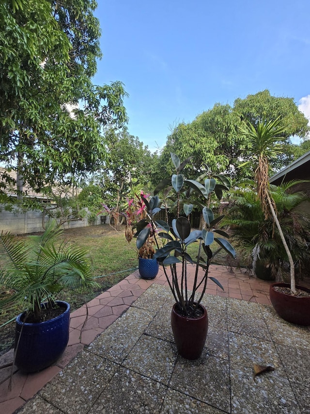 view of patio