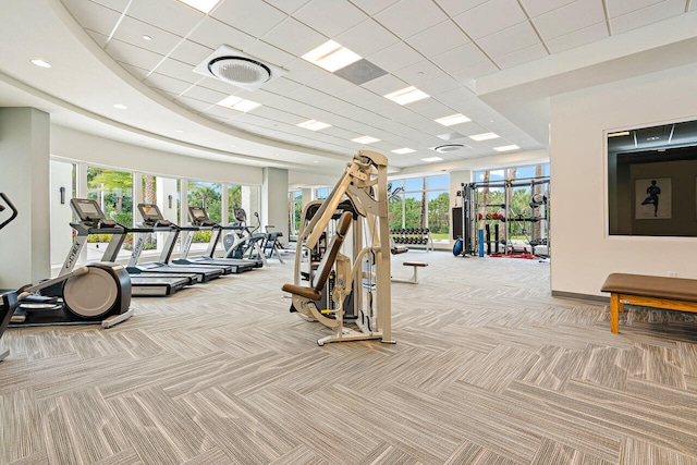 exercise room with a wealth of natural light, light carpet, and a drop ceiling