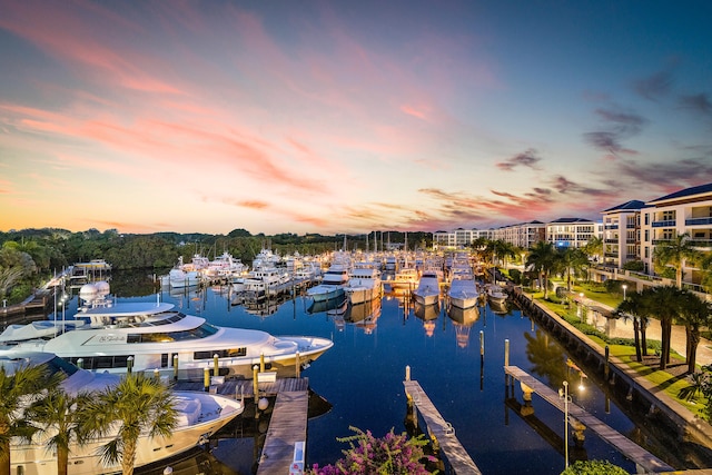 water view featuring a boat dock