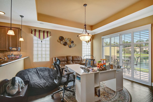 office area featuring dark hardwood / wood-style floors, crown molding, and a tray ceiling