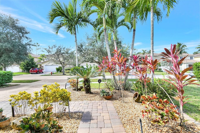 view of yard featuring driveway