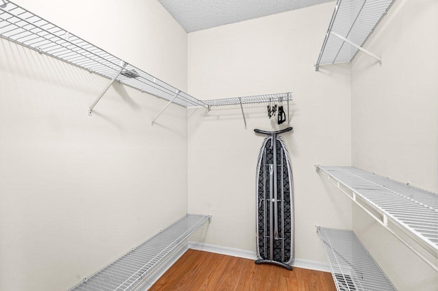 walk in closet featuring hardwood / wood-style flooring