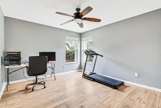 office space with light hardwood / wood-style floors and ceiling fan