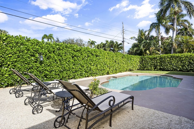 view of swimming pool with a patio area