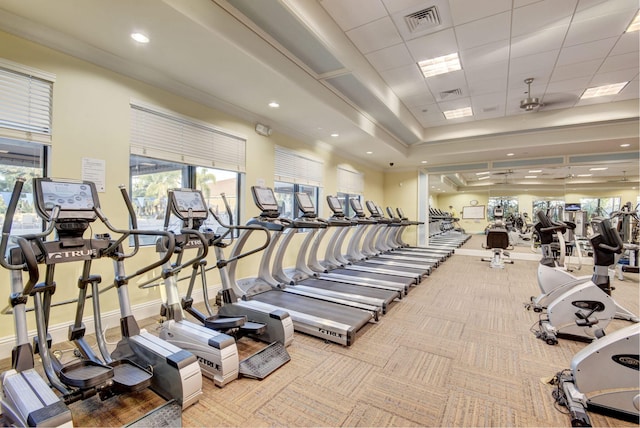 workout area featuring ceiling fan and carpet