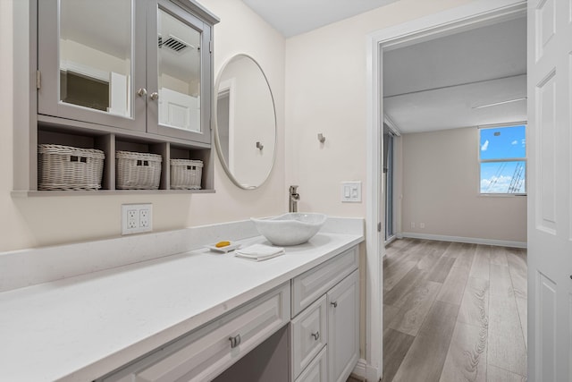 bathroom featuring wood-type flooring and vanity