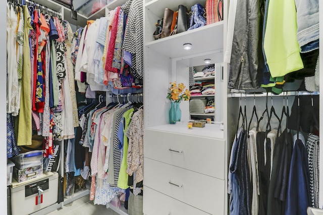 view of spacious closet