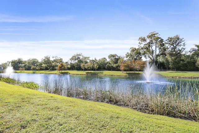 property view of water