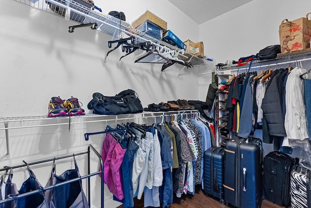 spacious closet featuring dark wood-type flooring