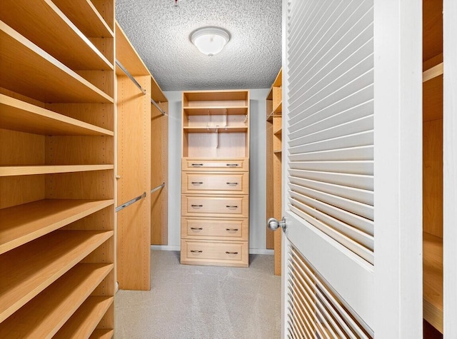 spacious closet featuring light colored carpet