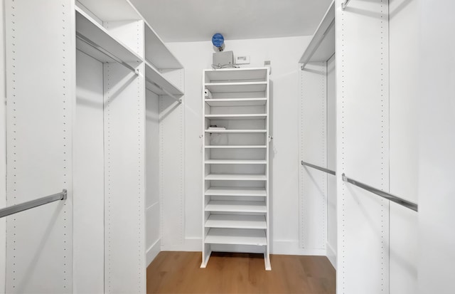 walk in closet with wood finished floors