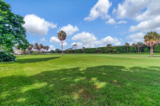 view of property's community with a lawn