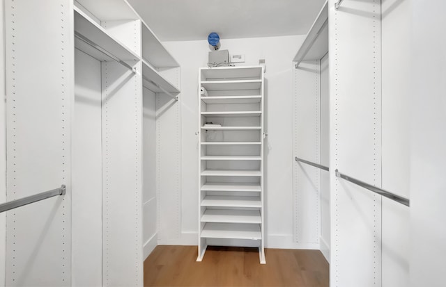 spacious closet with wood-type flooring