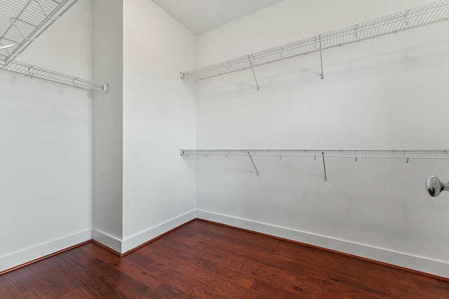 spacious closet with wood-type flooring