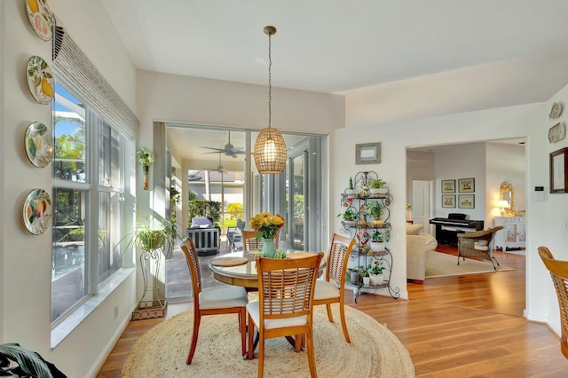 dining space featuring plenty of natural light, light hardwood / wood-style floors, and ceiling fan