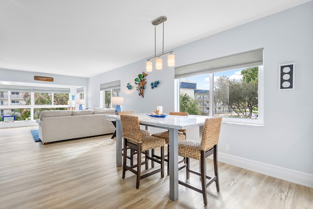 dining room with a healthy amount of sunlight and light hardwood / wood-style floors