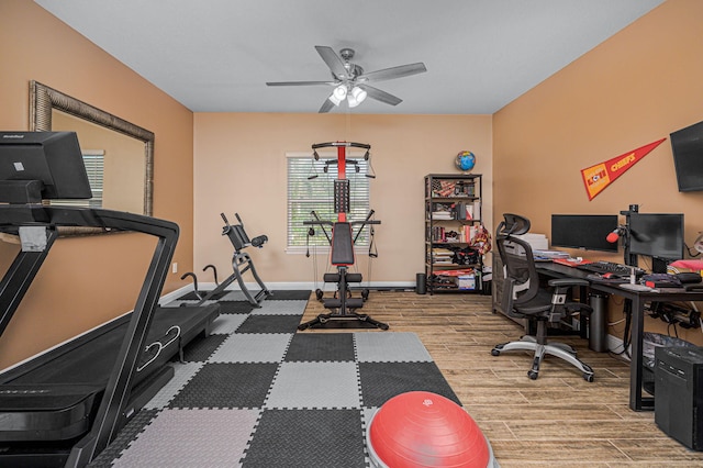 home office with hardwood / wood-style floors and ceiling fan