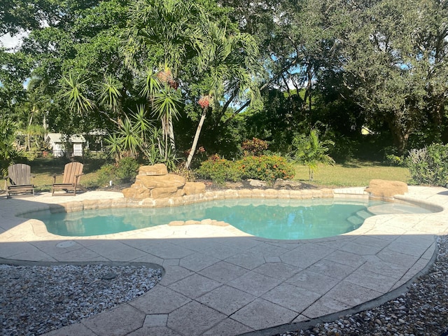 view of pool featuring a patio area