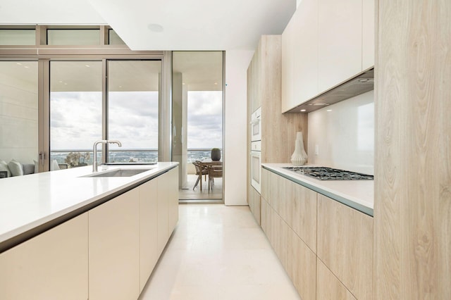 kitchen featuring range hood, floor to ceiling windows, sink, and white appliances