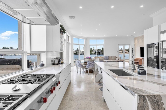 kitchen featuring white cabinets, light stone countertops, a wealth of natural light, and ornamental molding