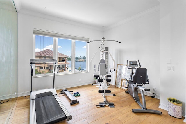 exercise area with hardwood / wood-style floors and crown molding