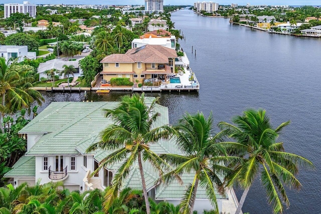 aerial view with a water view