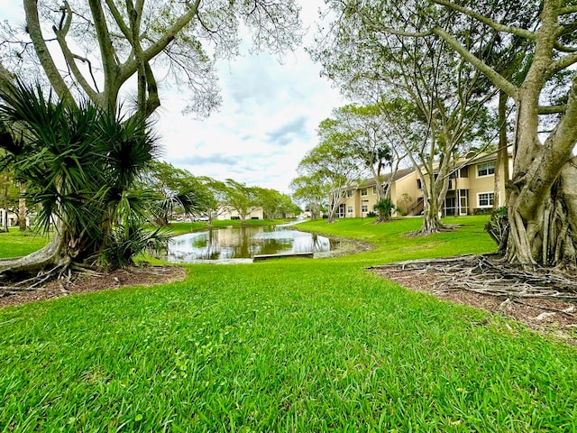 view of yard with a water view