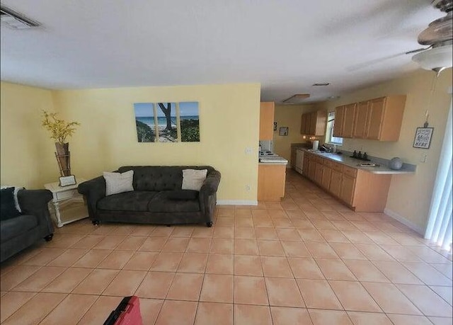 living room with sink