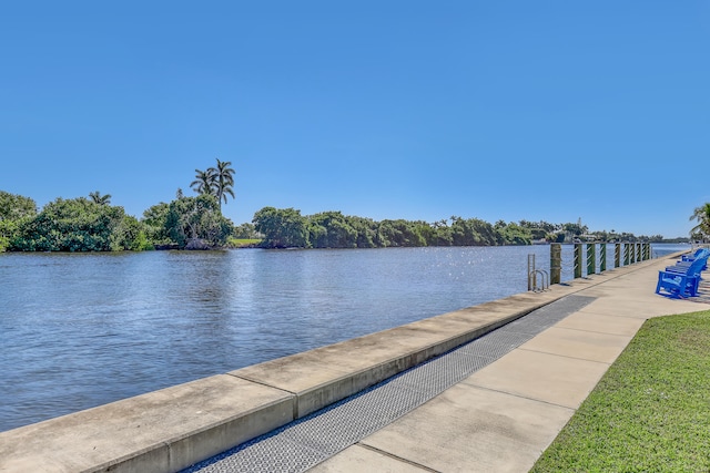 dock area with a water view