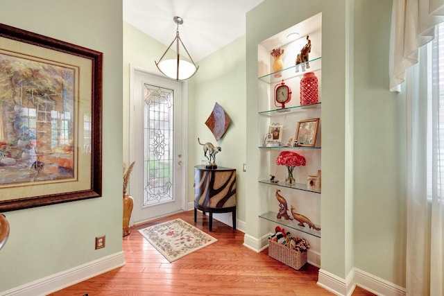 entrance foyer with light hardwood / wood-style flooring