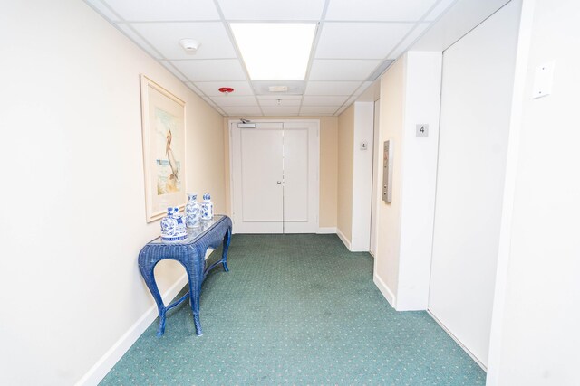 corridor featuring carpet flooring and a paneled ceiling