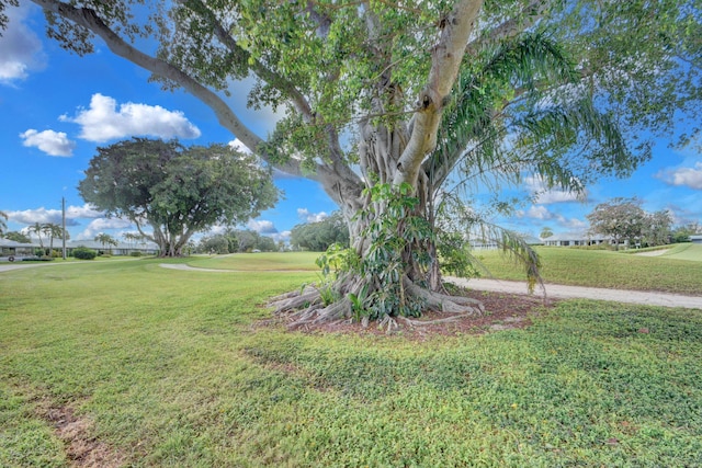 330 Cedar Key Cir, Atlantis, FL 33462 - view of yard with view of golf course