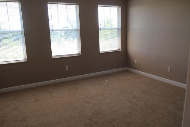 unfurnished room with carpet