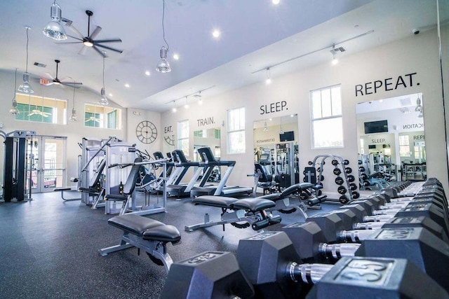 workout area with ceiling fan, a healthy amount of sunlight, rail lighting, and high vaulted ceiling