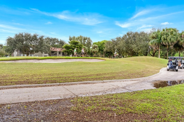 view of community with a yard