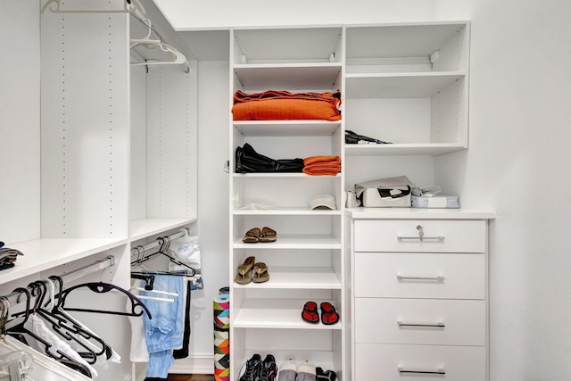 view of walk in closet