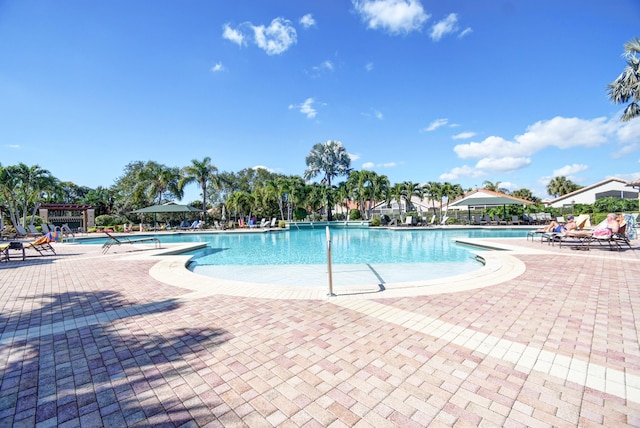 view of swimming pool with a patio