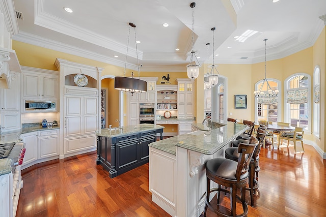 kitchen featuring a center island with sink, a kitchen breakfast bar, hanging light fixtures, a tray ceiling, and stainless steel appliances