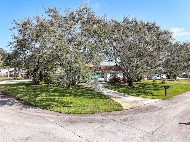 obstructed view of property featuring a front yard