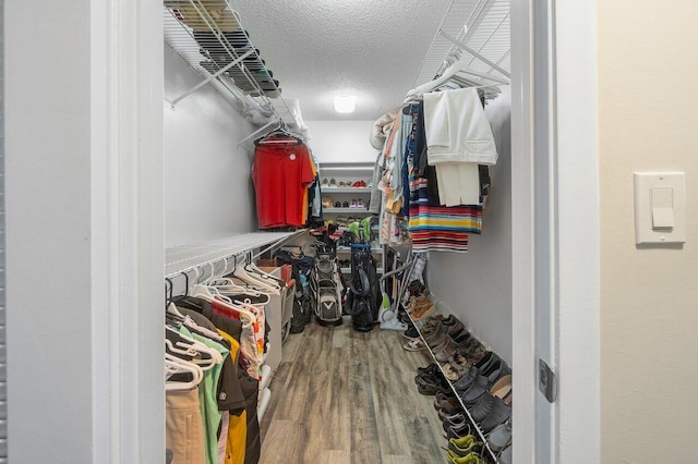 spacious closet featuring wood-type flooring