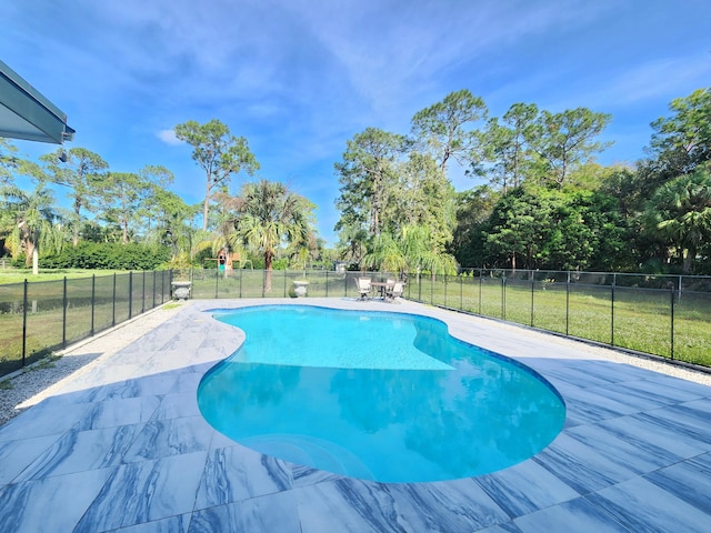 view of swimming pool with a patio and a lawn